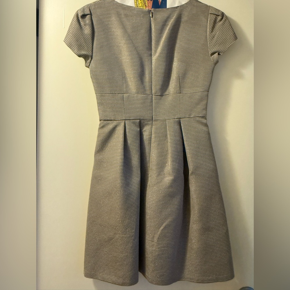 Nanette Lepore sparkly Gray Striped Fit-and-Flare Aline Dress-Women’s Size 2 - Picture 5 of 7